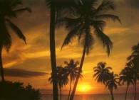 Sonnenuntergang in der Dominikanischen Republik